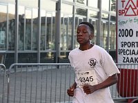 IMG 4355